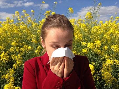 Allergies and Driving: Is There A Link Between Pollen and Driver Performance in Florida?