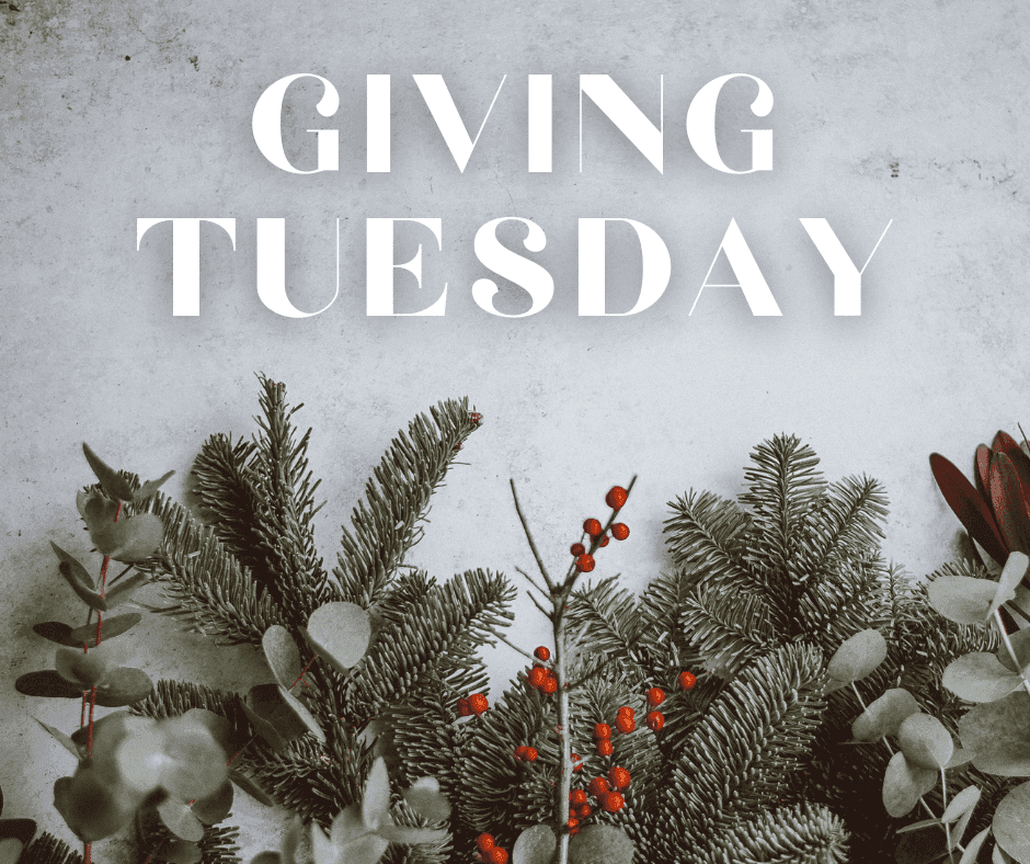 GivingTuesday