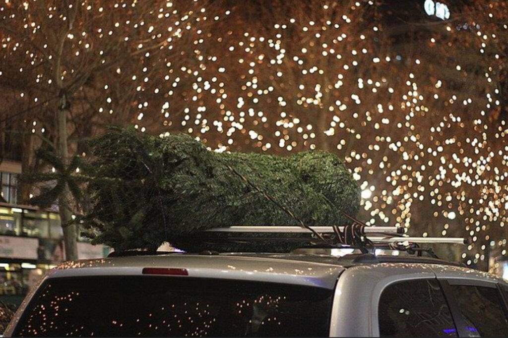 Jingle All The Way - Tips for Safely Getting Your Christmas Tree Home